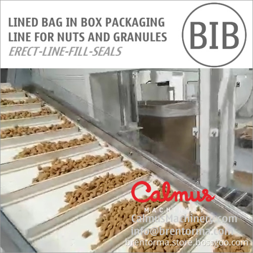 Liner Bag in Box Forming Filling Sealing Line for Packaging Nuts and Granules